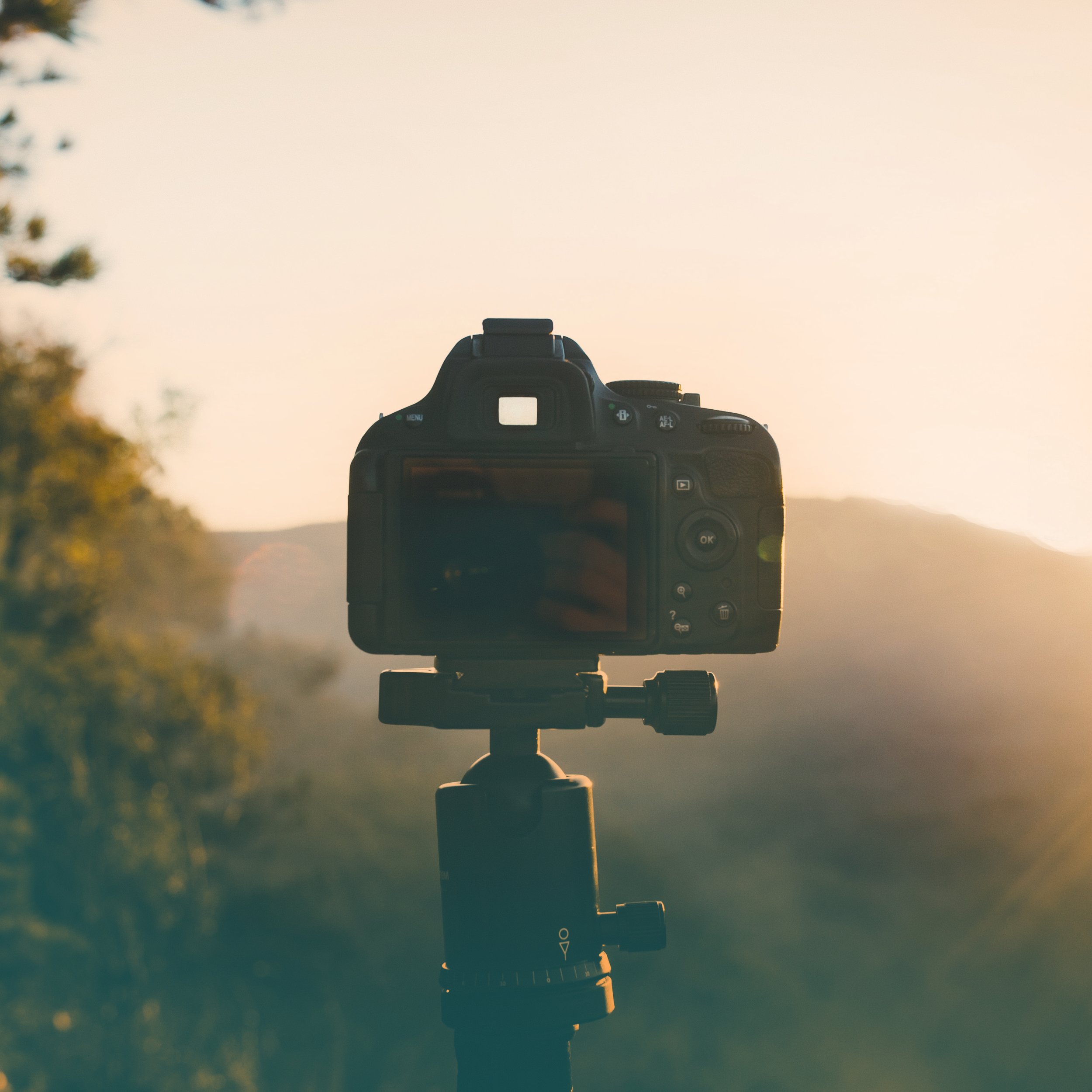 tripod+coloured+3